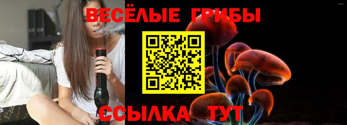 Псилоцибиновые грибы ЛСД Искитим